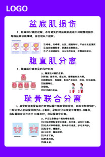 盆底肌损伤
