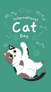 卡通猫