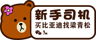 新手司机