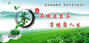 茶叶海报