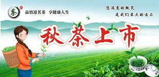 茶叶海报