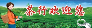 茶叶海报