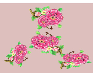牡丹花