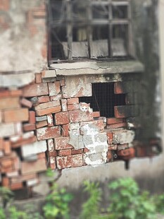 外面的世界