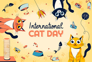 猫的海报
