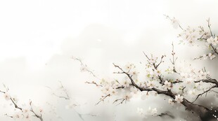 樱花梅花花瓣树枝小鸟影楼背景图