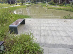 池边