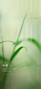 谷雨节气