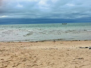 海天