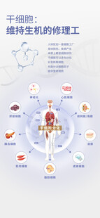 干细胞成分海报