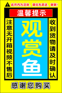 观赏鱼温馨提示