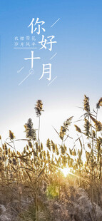 十月促销 