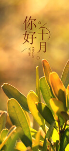 你好十月