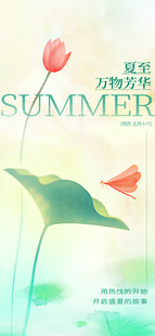 夏至节气海报