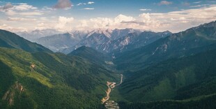 风景