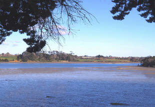奥克兰海边风景