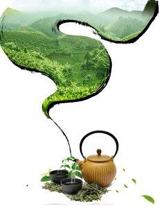 春茶铁观音茶壶冒烟