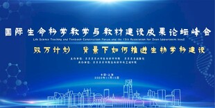 公司会议背景