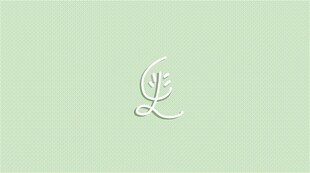 AE线条流动logo动画源文件