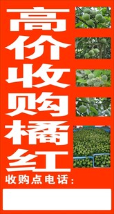 高价收购橘红