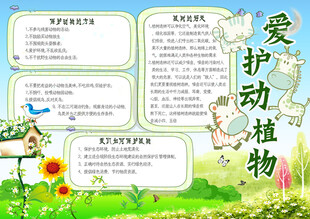 爱护动植物 