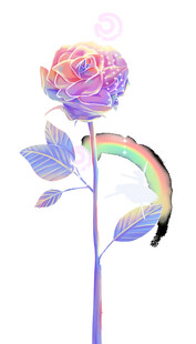 玫瑰花素材