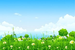 春光明媚户外风景鲜花草地