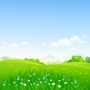 春光明媚户外风景鲜花草地