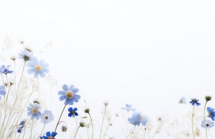 鲜花边框