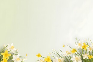 鲜花边框