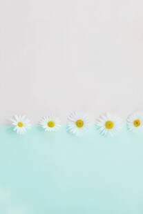 鲜花边框