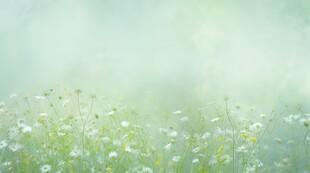 鲜花边框
