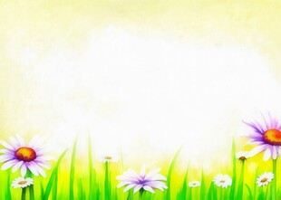 鲜花边框