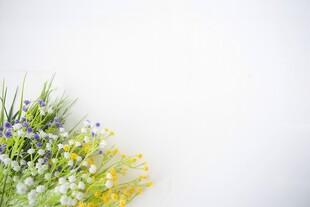 鲜花边框