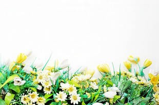 鲜花边框