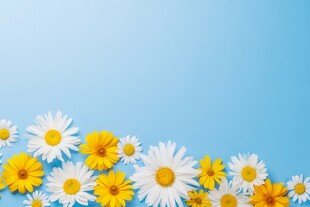 鲜花边框