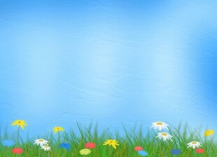 鲜花边框