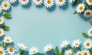 鲜花边框