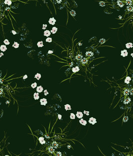 叶子花 手绘叶子