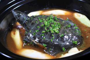 浓汤甲鱼