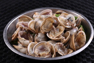 鲜贝壳
