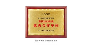 实物奖牌模板