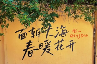 面朝大海春暖花开