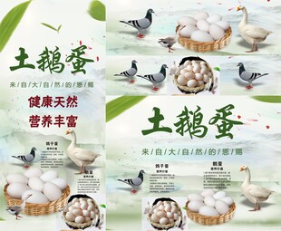 鹅蛋