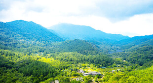 五指山