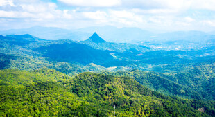 五指山