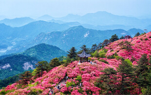 龟峰山