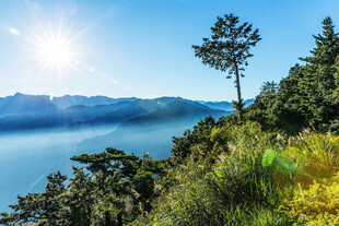 阿里山