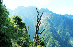 玉山