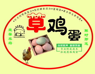 草鸡蛋